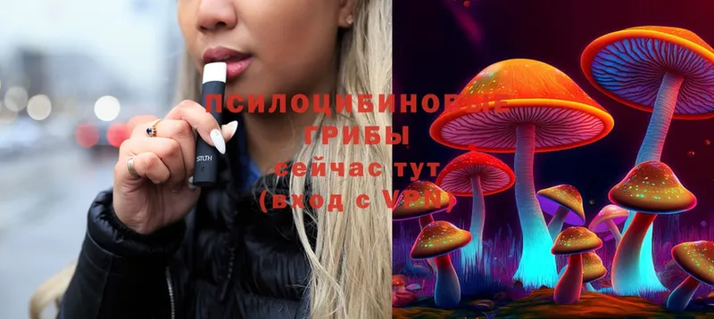 Галлюциногенные грибы Cubensis  Байкальск 